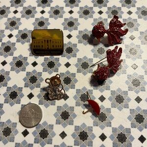 Red Fish and Assorted Pins